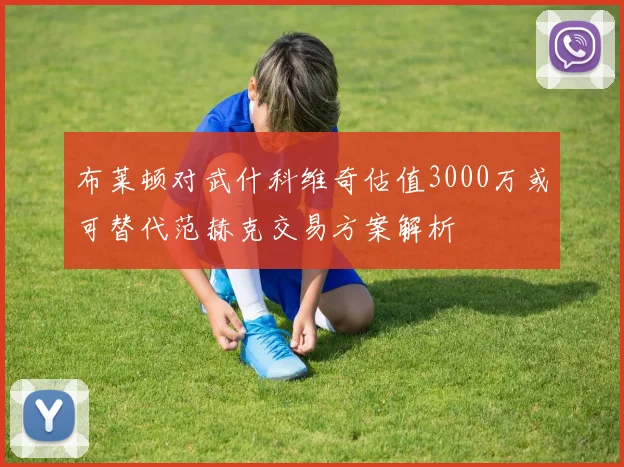 布莱顿对武什科维奇估值3000万或可替代范赫克交易方案解析